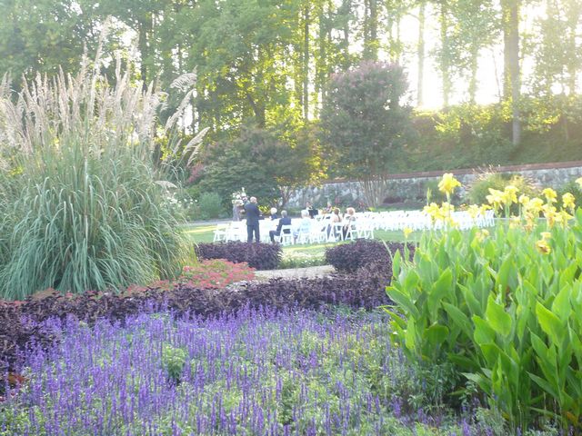 Butterfly Gardens